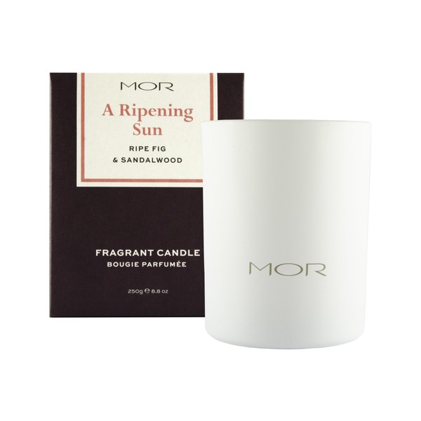 MOR Scented Home Library A Ripening Sun, Ripe Fig & Sandalwood Fragrant Candle