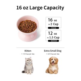 ABRUTY Cat Water Bowl, 16 OZ Ceramic Elevated Cat Dish, 15° Tilted and Raised Pet Food Bowl, Anti Vomiting Protect Pets' Spines and Whisker Fatigue