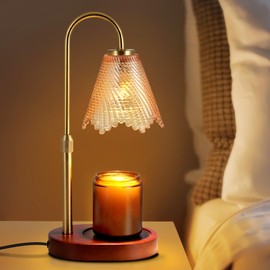 EUAONYA Candle Warmer Lamp,Candle Warmer lamp with Timer & Dimmer Candle Warmer,Candle Lamp Warmer Warmer Vintage Glass Shade with 2 * 50W Bulbs for Home Decor(Leafy Amber)