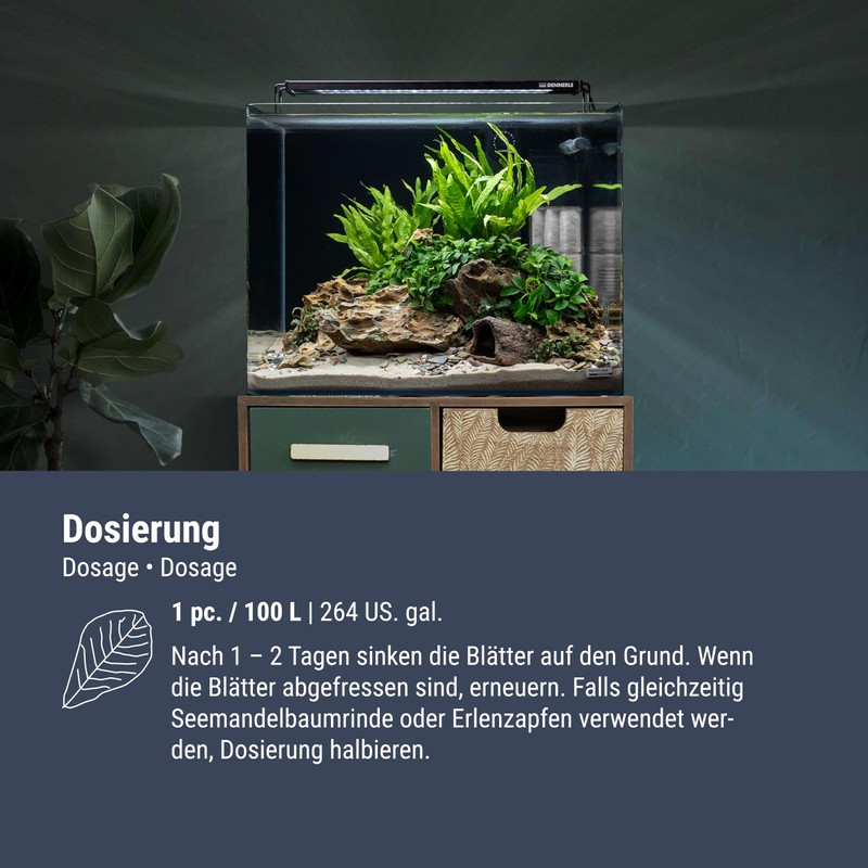 DENNERLE Catappa Leaves, 18 x 10 cm, 800 Litre