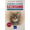  Europäisch Kurzhaar Katzentraining - Ratgeber zum Trainieren einer Katze
