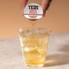 Ted's Tea Single Serve Liquid Tea Concentrate Pods by Java