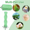 6PCS Bird Beak Grinding Stone Perch – Anti-Slip Resin Perch