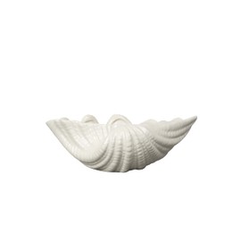ByOn Alima 5260906502 White Shell Made of Solid Dolomite 23 x 16 x 8 cm Also Suitable for Storing Jewellery or as Decoration in the Living Room
