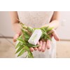 Lemon 30ml NATURELLE NATURELLE Essential Oil