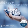 Eight the Thalasso Addictive Scalp Massage Brush Soft Hair Care