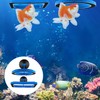 Fish Feeding Ring, 2 Pieces Fish Feeder Aquarium Turtle Tank