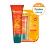 Himalaya Honey Gloss Lip Balm 10g - Honey Gloss Lip