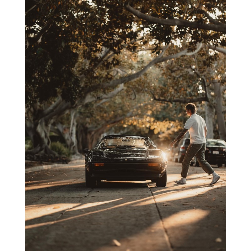 PolarPro - Shortstache - Everyday - 1/4 thickness Black Mist