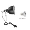 75W Reptile Heat Lamp Tortoise Heat Lamp Basking Lamp Heater