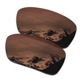 SmartVLT Men's Amber Brown Replacement Lenses for Oakley Si Ballistic Det Cord/SI Industrial Det Cord OO9253 Sunglass