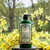 Bates Family Farm Goat Milk and Shea Butter Lotion 8