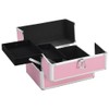 LJLB Stylish Pink Makeup Organizer: Portable Cosmetic Storage Case for