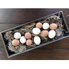 Eggcetera Ceramic Nest Eggs 6-Pack (Brown)