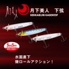 DAIWA Lure, Lure, Tsukiyobijin Lower Line 55F, Luminous Shirasu