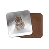 1 x Beautiful Tiger Drinks Coaster - Big Cat Lion