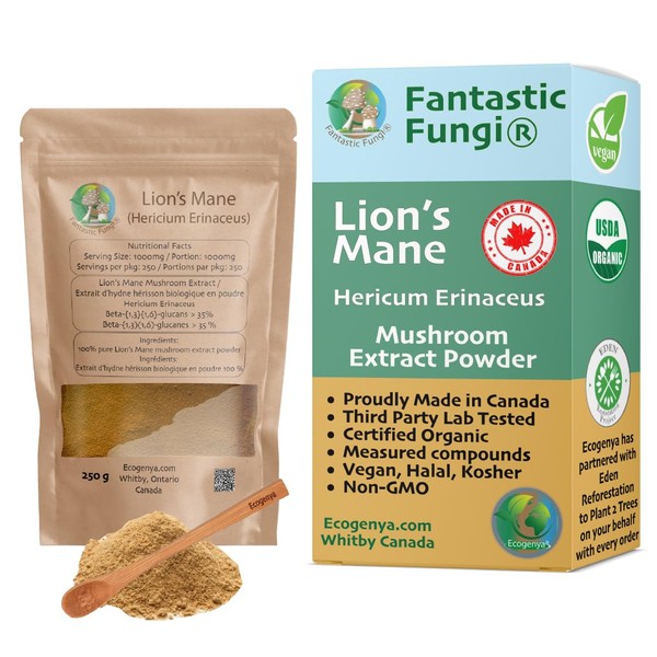 Fantastic Fungi Organic Lions Mane mushroom powder extract by Ecogenya