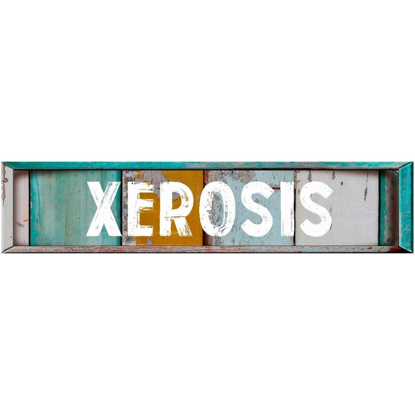 XEROSIS 8" Rectangle Verticle Wood Panels Weathered Painted Look Magnet