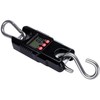 Báscula grúa for equipaje, grúa digital, elevación industrial pesada