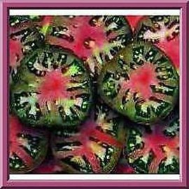 Black Sea Man Tomato Seeds! LARGE MEATY TOMATOES!