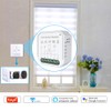 Tuya WiFi Intelligent Curtain Switch Module Home Curtain Modification Module
