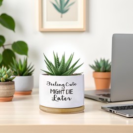 Haooxinwei Funny planters for Indoor Plants Garden Succulent Pots, with Drainage Holes and Saucer(No Plants) (Feeling Cute Might Die Later)