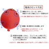 Showa Teaching Materials LED Light Included Security Buzzer Anshin Ladyo-kun