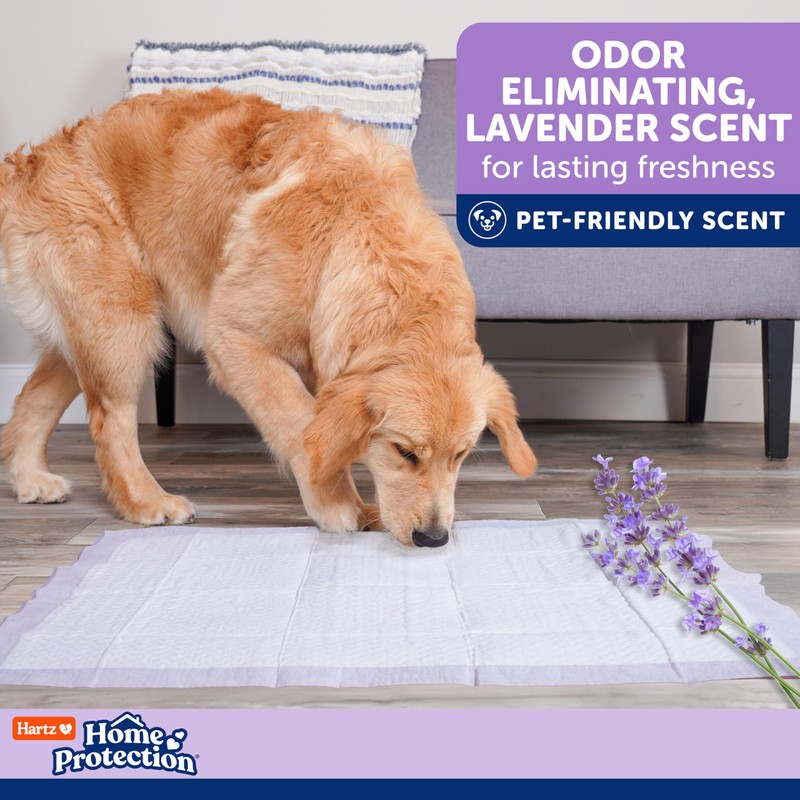 Hartz Home Protection Super Absorbent Odor Eliminating Lavender Scented No