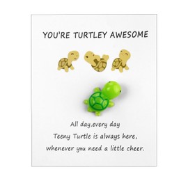 Positive Small Green Turtle, You're Turtley Awesome Positive Energy Friendship Turtle, Mini Cute Turtle Ornament with a Encourage Card, Pocket Turtle Hug Cheer Up Gifts for Family Friends Men Women