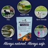 WinterKleen Fall & Winter Bacteria for Ponds | Koi Pond