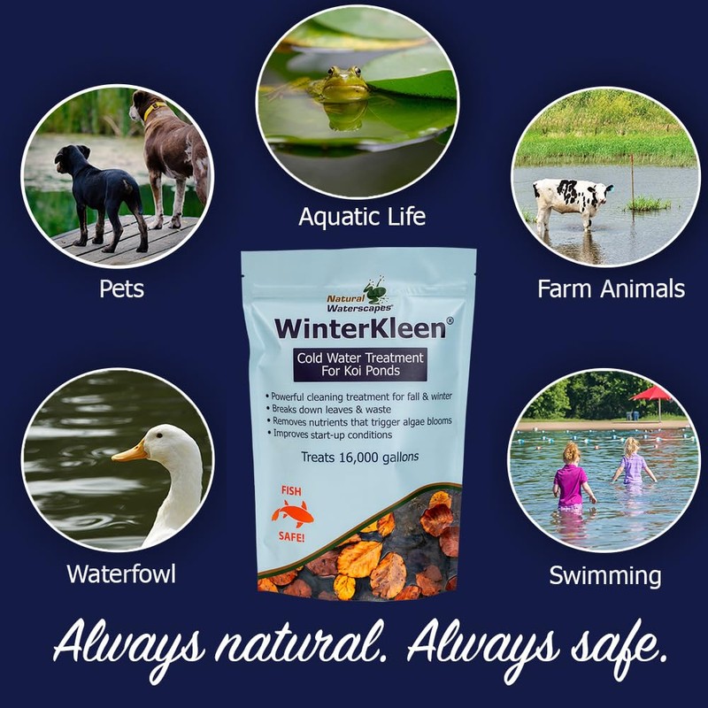 WinterKleen Fall & Winter Bacteria for Ponds | Koi Pond
