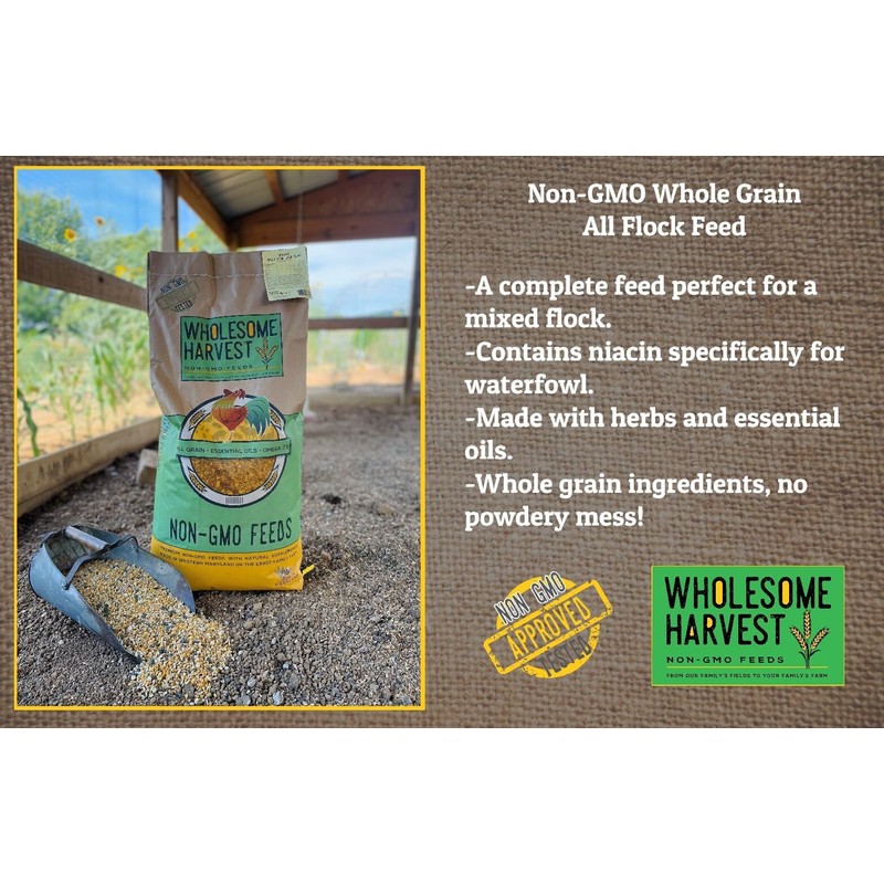 Wholesome Harvest All Flock Feed, High Nutrition Layer for Flocks,