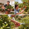 2 Pcs Garden Pruning Shears, Multifunctional Garden Scissors Set, 8"