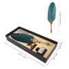 Feather Pen and Ink Set with 5 Interchangeable Nibs for
