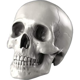 Royal Model 1/35 Diorama Accessory Skull Set Resin Kit RM853