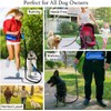Hands Free Dog Leash Retractable Shock Absorbing Bungee Leash with