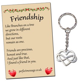 Perfect Message Ltd Gift for Friends Friendship Inspirational Keyring Infinity Heart Keyring School Leavers Gift