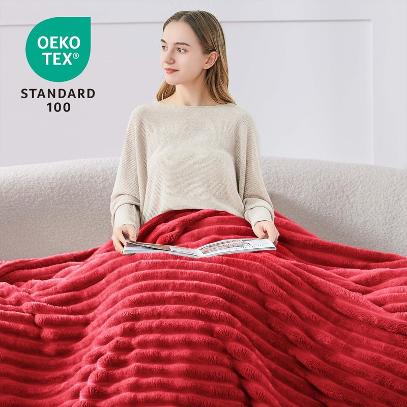 BEDELITE Fleece Throw Blanket for Couch, Soft and Warm, Fluffy