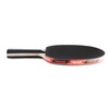 Tibhar Powercarbon XT Table Tennis Bat - All-Round and Offensive