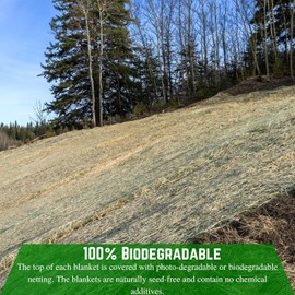 Farm Plastic Supply - Curlex Erosion Control Fabric - Single Netting, Green, Biodegradable, Excelsior Netting, Erosion Control, Green Netting, Curlex (8' x 112.5')