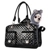 Betop House Soft-Sided Pet Travel Carrier Airline Approved for Pet