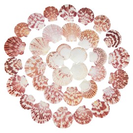 Wirow 50Pcs Flat Colorful Seashells 4-5cm Mixed Bulk Scallop Shells for DIY Crafts, Wedding Decor, Home & Party Decoration,Fish Tank,Vase Filler