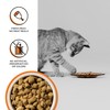 BIXBI Rawbble Freeze Dried Cat Food, Chicken Recipe, 3.5 oz