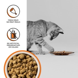 BIXBI Rawbble Freeze Dried Cat Food, Chicken Recipe, 3.5 oz - 95% Meat and Organs, No Fillers - Pantry-Friendly Raw Cat Food - USA Made