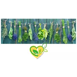 Licorice Root Extract Non-Alcohol Tincture Liquid Drop Respiratory Digestion 2oz