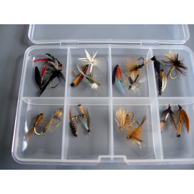 BestCity Fly Fishing for Trout BARBLESS MIXED SEASON SELECTION 20