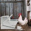 Zhehao Automatic Galvanized Chicken Feeder 25lb Self Opening Sheet Poultry