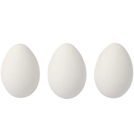 12 White Hollow One Piece Matt Plastic Easter Eggs for Crafts | Eggs to Decorate