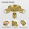 3 Light Track Lighting Fixtures Ceiling, Gold Round Directional Ceiling