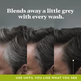 Just For Men Control GX Grey Reducing Shampoo, Gradually Colors Hair, 118ml (3 Count)